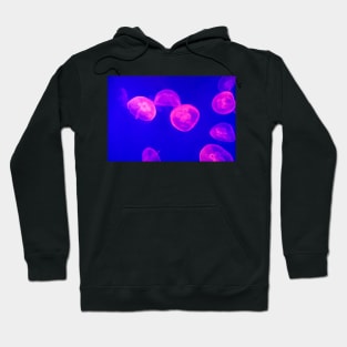 Luminescent Jellyfish Hoodie